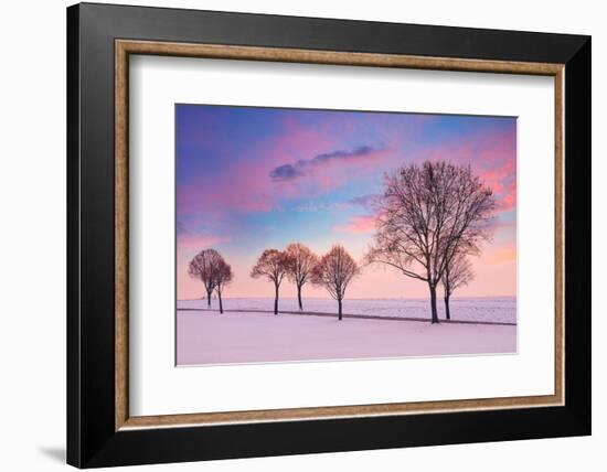 Trees in the Winter Wind-Philippe Sainte-Laudy-Framed Photographic Print