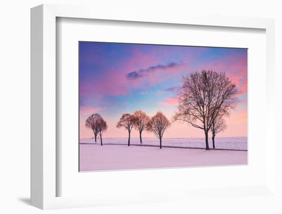Trees in the Winter Wind-Philippe Sainte-Laudy-Framed Photographic Print