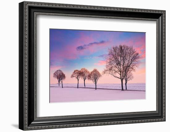 Trees in the Winter Wind-Philippe Sainte-Laudy-Framed Photographic Print