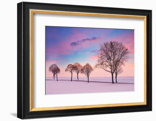 Trees in the Winter Wind-Philippe Sainte-Laudy-Framed Photographic Print