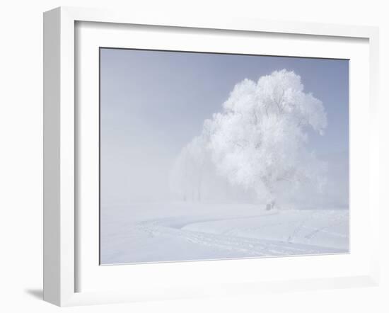 Trees in the Wintry Kochelsee, Tolzer Country, Bavaria, Germany-Rainer Mirau-Framed Photographic Print