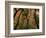 Trees in Zion National Park-null-Framed Photographic Print