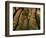 Trees in Zion National Park-null-Framed Photographic Print