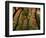 Trees in Zion National Park-null-Framed Photographic Print