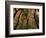 Trees in Zion National Park-null-Framed Photographic Print