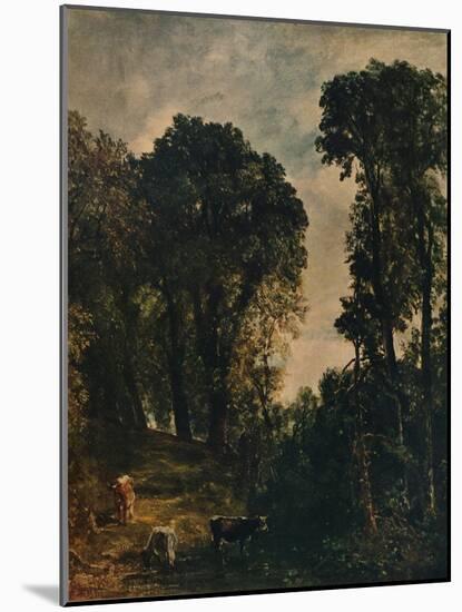 'Trees Near Hampstead Church', 1829, (c1915)-John Constable-Mounted Giclee Print