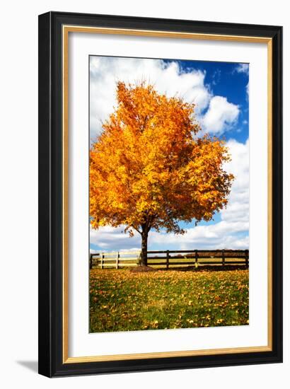 Trees of Gold II-Alan Hausenflock-Framed Photo