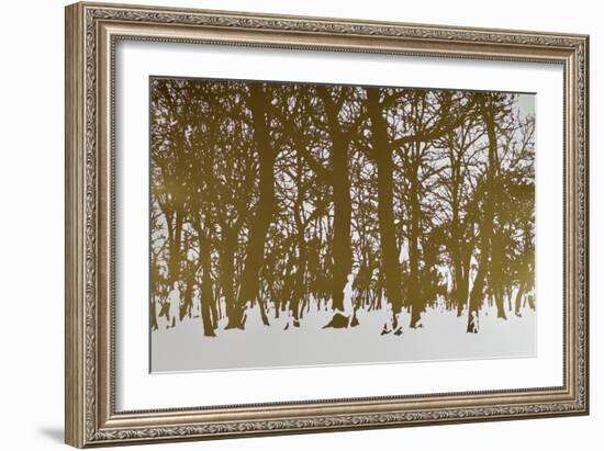 Trees of life, 2017 hot stamping leaf roll on paper-Angus Hampel-Framed Giclee Print