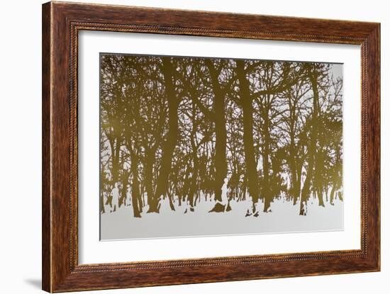 Trees of life, 2017 hot stamping leaf roll on paper-Angus Hampel-Framed Giclee Print