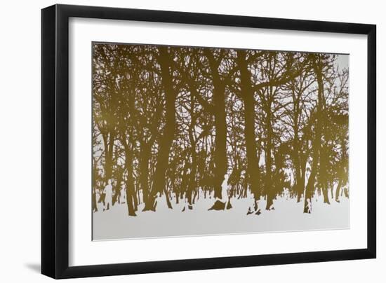 Trees of life, 2017 hot stamping leaf roll on paper-Angus Hampel-Framed Giclee Print