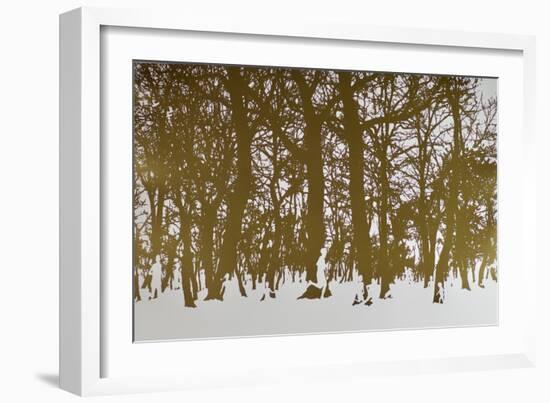 Trees of life, 2017 hot stamping leaf roll on paper-Angus Hampel-Framed Giclee Print