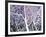 Trees of Washington Square no. 3-Richard C^ Karwoski-Framed Limited Edition