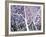 Trees of Washington Square no. 3-Richard C^ Karwoski-Framed Limited Edition