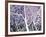 Trees of Washington Square no. 3-Richard C^ Karwoski-Framed Limited Edition