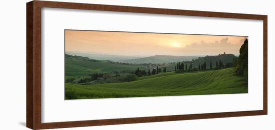 Trees on a Hill, Monticchiello Di Pienza, Val D'Orcia, Siena Province, Tuscany, Italy-null-Framed Photographic Print
