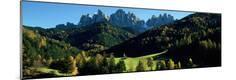 Photographic Print