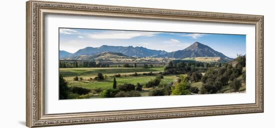 Trees on a landscape, Riverrun Lodge, Luggate, Queenstown-Lakes District, Otago Region, South Is...-null-Framed Photographic Print