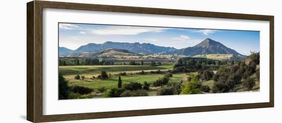 Trees on a landscape, Riverrun Lodge, Luggate, Queenstown-Lakes District, Otago Region, South Is...-null-Framed Photographic Print