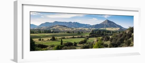 Trees on a landscape, Riverrun Lodge, Luggate, Queenstown-Lakes District, Otago Region, South Is...-null-Framed Photographic Print