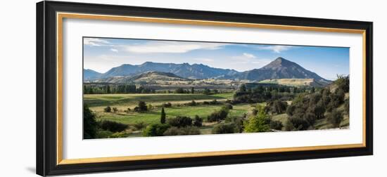 Trees on a landscape, Riverrun Lodge, Luggate, Queenstown-Lakes District, Otago Region, South Is...-null-Framed Photographic Print