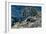 Trees on a Mountain Slope-Ernst Ludwig Kirchner-Framed Giclee Print