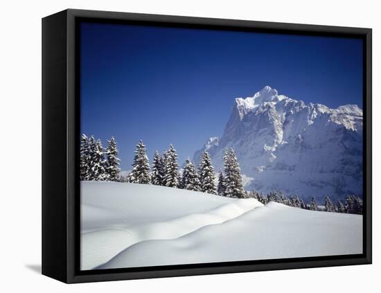 Trees on a Snow Covered Landscape, Grindelwald, Interlaken, Berne Canton, Switzerland-null-Framed Premier Image Canvas