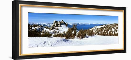 Trees on a Snow Covered Landscape, Heavenly Mountain Resort, Lake Tahoe-null-Framed Photographic Print