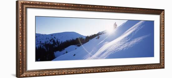 Trees on a Snow Covered Landscape, Kitzbuhel, Westendorf, Tirol, Austria-null-Framed Photographic Print