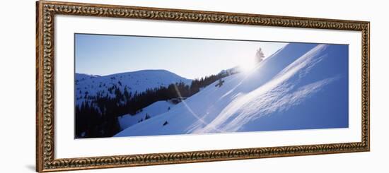 Trees on a Snow Covered Landscape, Kitzbuhel, Westendorf, Tirol, Austria-null-Framed Photographic Print