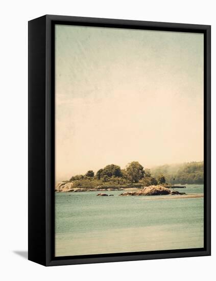 Trees on an Island-Jillian Melnyk-Framed Premier Image Canvas