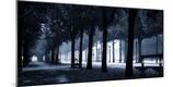 Photographic Print