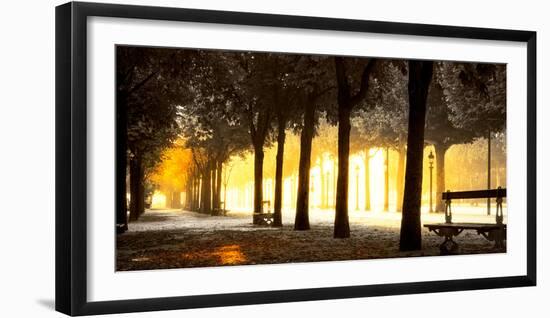 Trees on both sides of a walkway, Champs Elysees, Paris, France-null-Framed Photographic Print