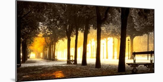 Trees on both sides of a walkway, Champs Elysees, Paris, France-null-Mounted Photographic Print