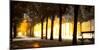 Trees on both sides of a walkway, Champs Elysees, Paris, France-null-Mounted Photographic Print