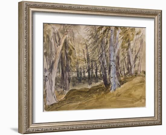 Trees on Box Hill-David Cox-Framed Giclee Print