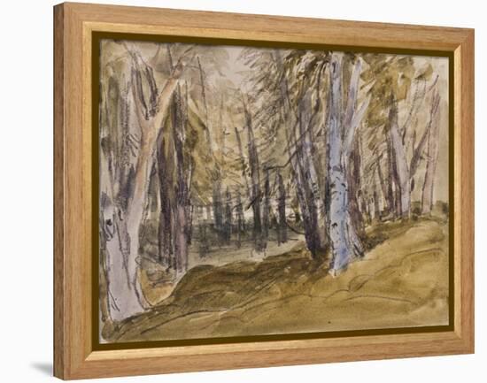 Trees on Box Hill-David Cox-Framed Premier Image Canvas