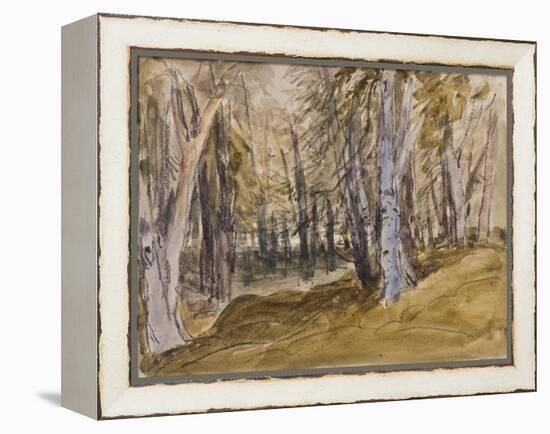 Trees on Box Hill-David Cox-Framed Premier Image Canvas