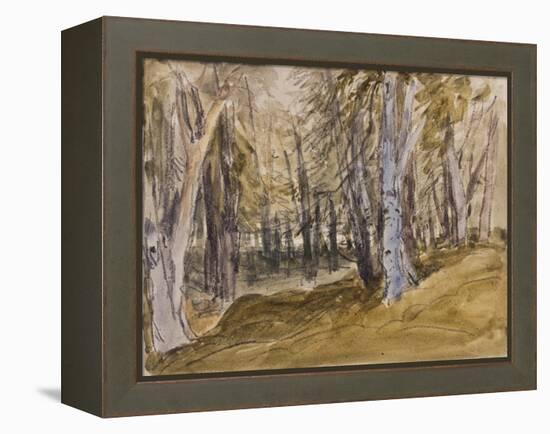 Trees on Box Hill-David Cox-Framed Premier Image Canvas