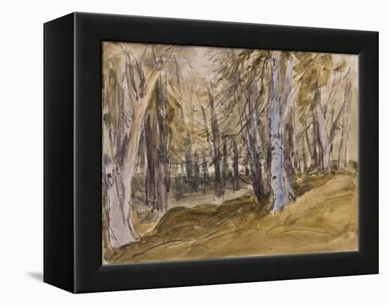 Trees on Box Hill-David Cox-Framed Premier Image Canvas