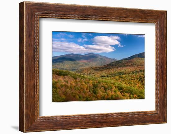 Trees on Giant Mountain From Owls Head, Adirondack Mountains State Park, New York State, USA-null-Framed Photographic Print