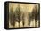 Trees on Gold-Kate Bennett-Framed Stretched Canvas