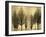 Trees on Gold-Kate Bennett-Framed Art Print