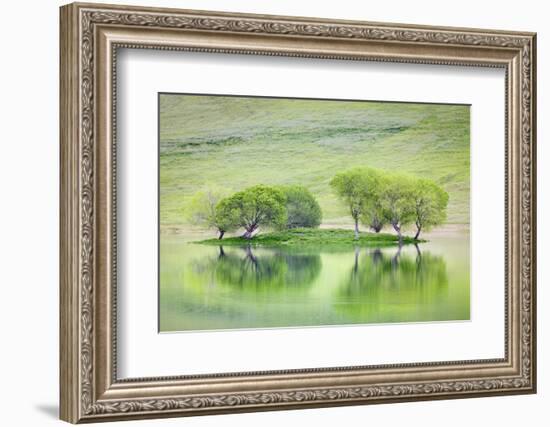 Trees on Island Reflect in Black Butte Reservoir, California, USA-Jaynes Gallery-Framed Photographic Print