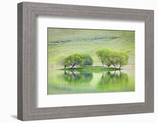 Trees on Island Reflect in Black Butte Reservoir, California, USA-Jaynes Gallery-Framed Photographic Print