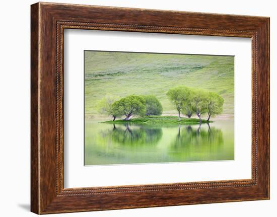 Trees on Island Reflect in Black Butte Reservoir, California, USA-Jaynes Gallery-Framed Photographic Print