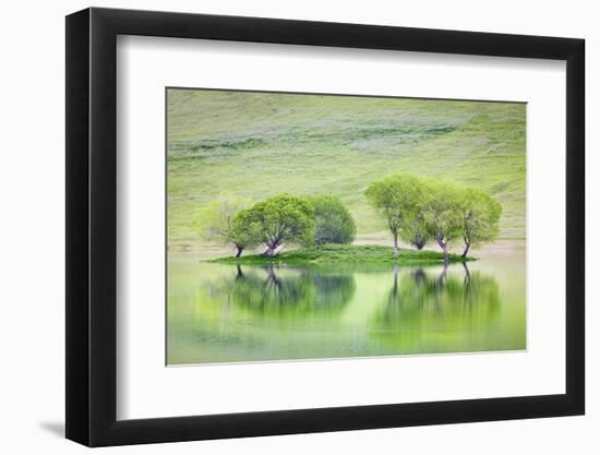 Trees on Island Reflect in Black Butte Reservoir, California, USA-Jaynes Gallery-Framed Photographic Print