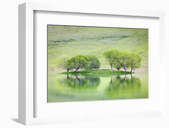 Trees on Island Reflect in Black Butte Reservoir, California, USA-Jaynes Gallery-Framed Photographic Print