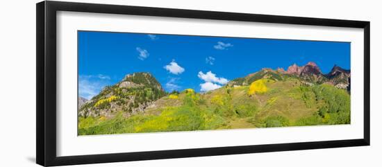 Trees on mountain, Maroon Bells, Maroon Bells-Snowmass Wilderness, White River National Forest,...-null-Framed Photographic Print