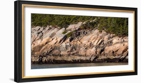 Trees on mountain, Mount Desert Island, Acadia National Park, Hancock County, Maine, USA-null-Framed Photographic Print