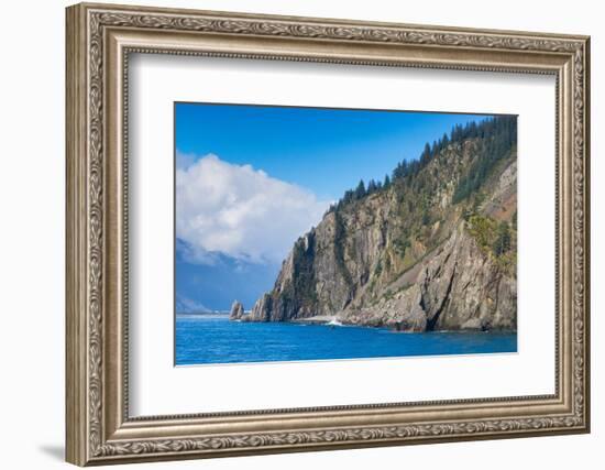 Trees on rock at Resurrection Bay, Seward, Kenai Peninsula Borough-Jan Miracky-Framed Photographic Print